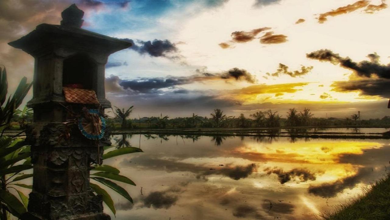 Pnb Bali Villas Canggu Extérieur photo